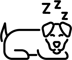 Icon eines schlafenden Hundes